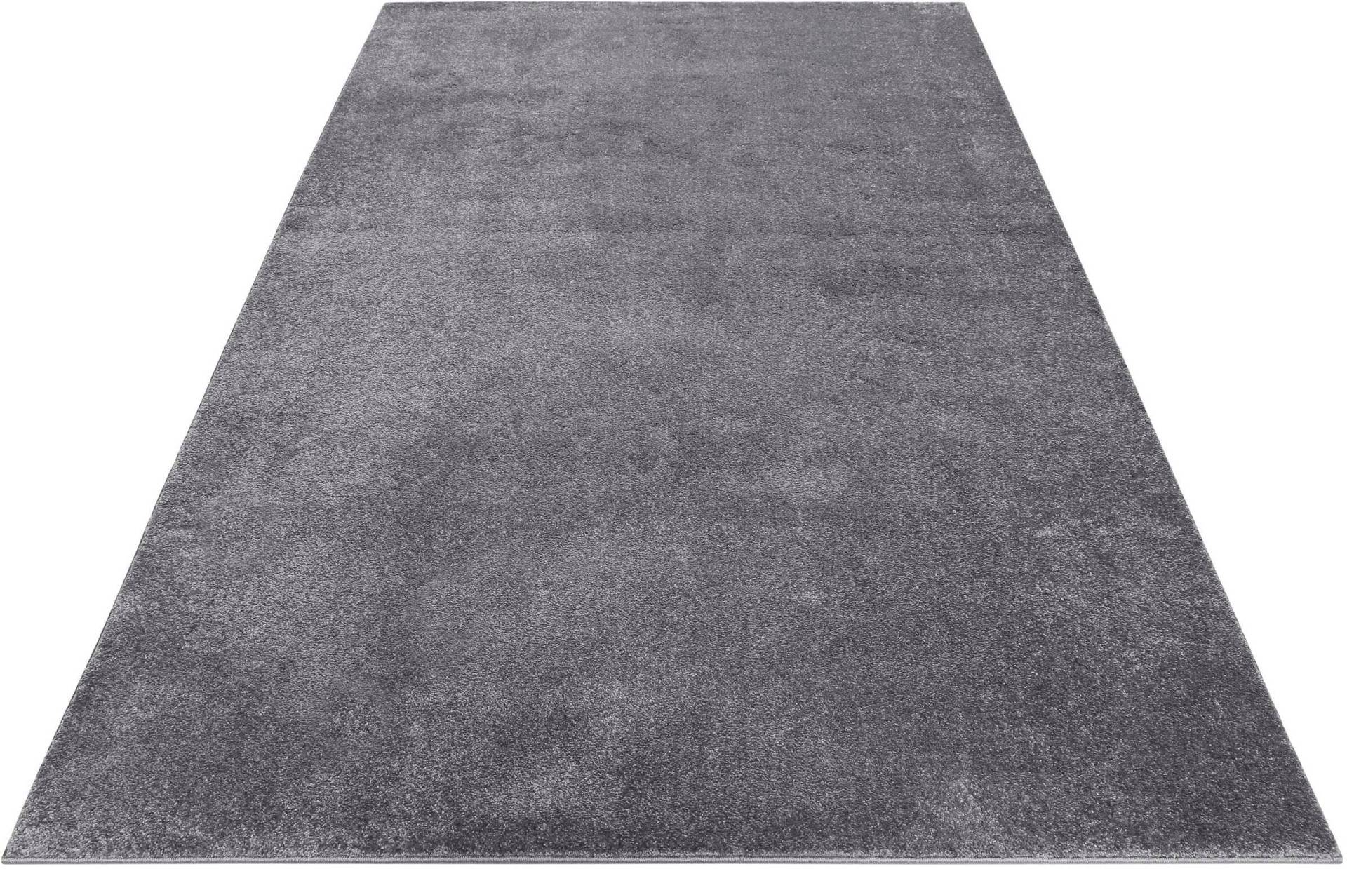 Esprit Teppich »Campus«, rechteckig, 17 mm Höhe, sehr flauschiger, dichter Flor, robust, Wohnzimmer, Schlafzimmer, uni Esprit Teppich »Campus«, rechteckig, 17 mm Höhe, sehr flauschiger, dichter Flor, robust, Wohnzimmer, Schlafzimmer, uni von Esprit