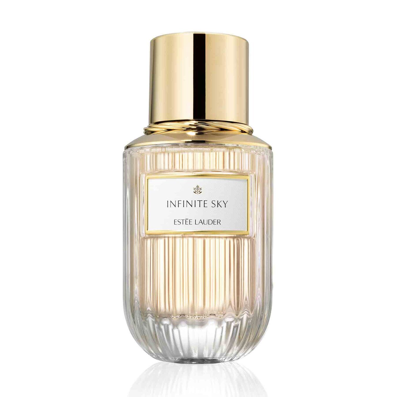 Estée Lauder Infinite Sky Eau de Parfum Refill 40ml Damen Estée Lauder Infinite Sky Eau de Parfum Refill 40ml Damen von Estée Lauder