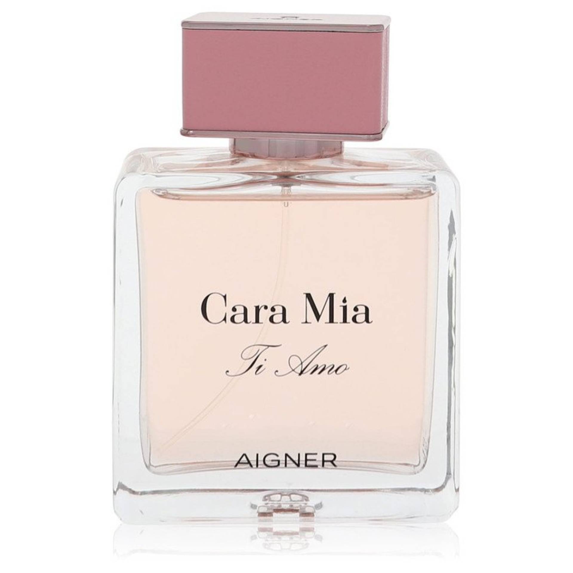 Etienne Aigner Cara Mia Ti Amo Eau De Parfum Spray (Tester) 100 ml von Etienne Aigner