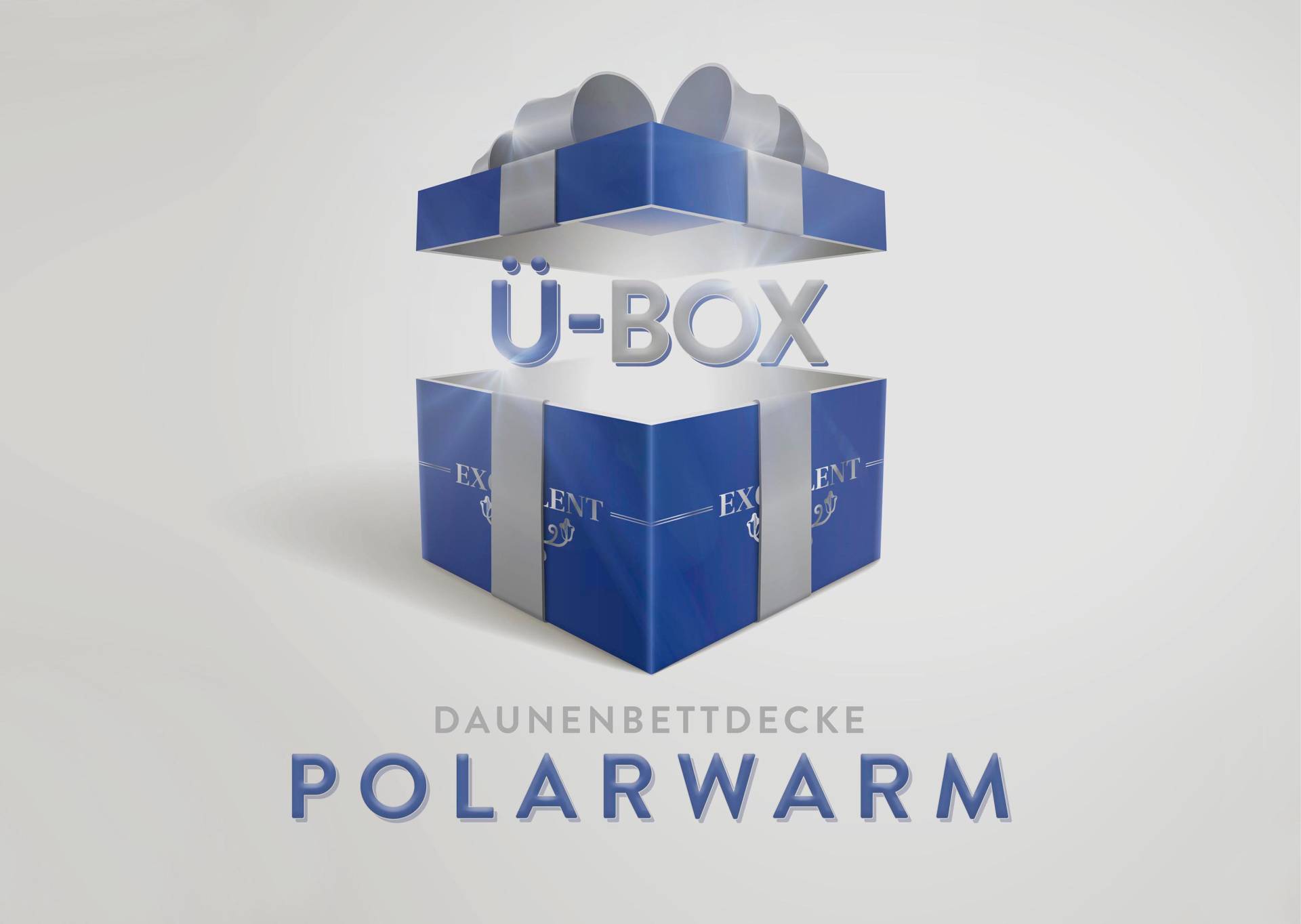 Excellent Daunenbettdecke »Überraschungsbox«, extrawarm, Füllung 90% Daunen, 10% Federn, Bezug Baumwolle, (1 St.), absoluter Sonderpreis, wegen Lagerräumung, Solange der Vorrat reicht von Excellent