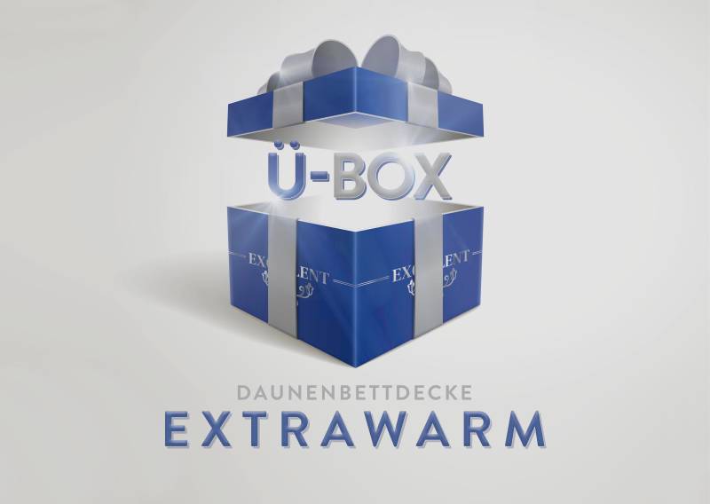 Excellent Daunenbettdecke »Überraschungsbox«, extrawarm, Füllung 90% Daunen, 10% Federn, Bezug Baumwolle, (1 St.), absoluter Sonderpreis, wegen Lagerräumung, Solange der Vorrat reicht von Excellent