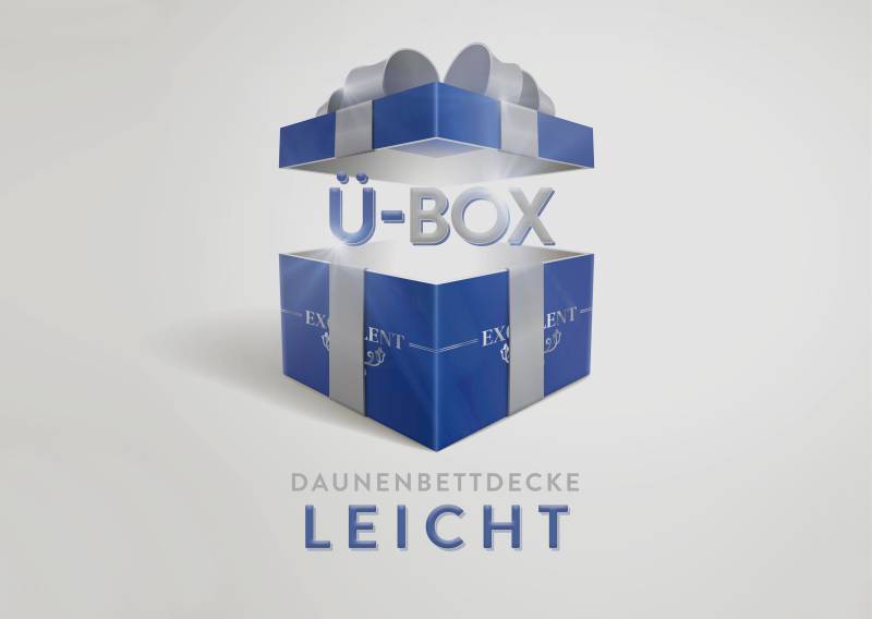 Excellent Daunenbettdecke »Überraschungsbox«, leicht, Füllung 90% Daunen, 10% Federn, Bezug Baumwolle, (1 St.), absoluter Sonderpreis, wegen Lagerräumung, Solange der Vorrat reicht von Excellent