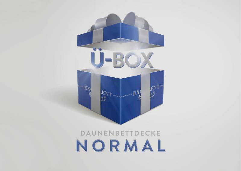 Excellent Daunenbettdecke »Überraschungsbox«, normal, Füllung 90% Daunen, 10% Federn, Bezug Baumwolle, (1 St.), absoluter Sonderpreis, wegen Lagerräumung, Solange der Vorrat reicht von Excellent