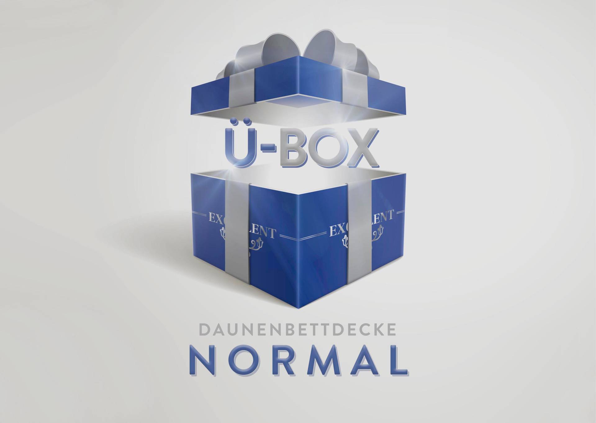 Excellent Daunenbettdecke »Überraschungsbox«, normal, Füllung 90% Daunen, 10% Federn, Bezug Baumwolle, (1 St.), absoluter Sonderpreis, wegen Lagerräumung, Solange der Vorrat reicht von Excellent