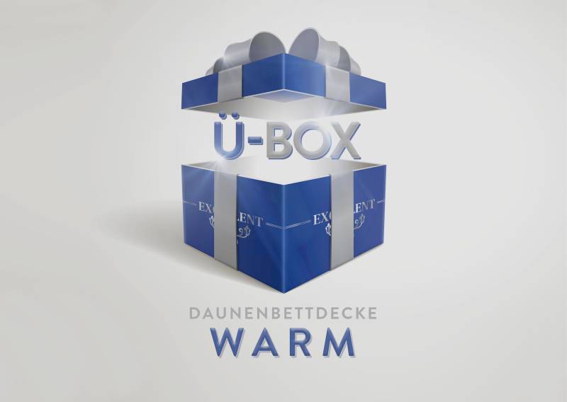 Excellent Daunenbettdecke »Überraschungsbox«, warm, Füllung 90% Daunen, 10% Federn, Bezug Baumwolle, (1 St.), absoluter Sonderpreis, wegen Lagerräumung, Solange der Vorrat reicht von Excellent