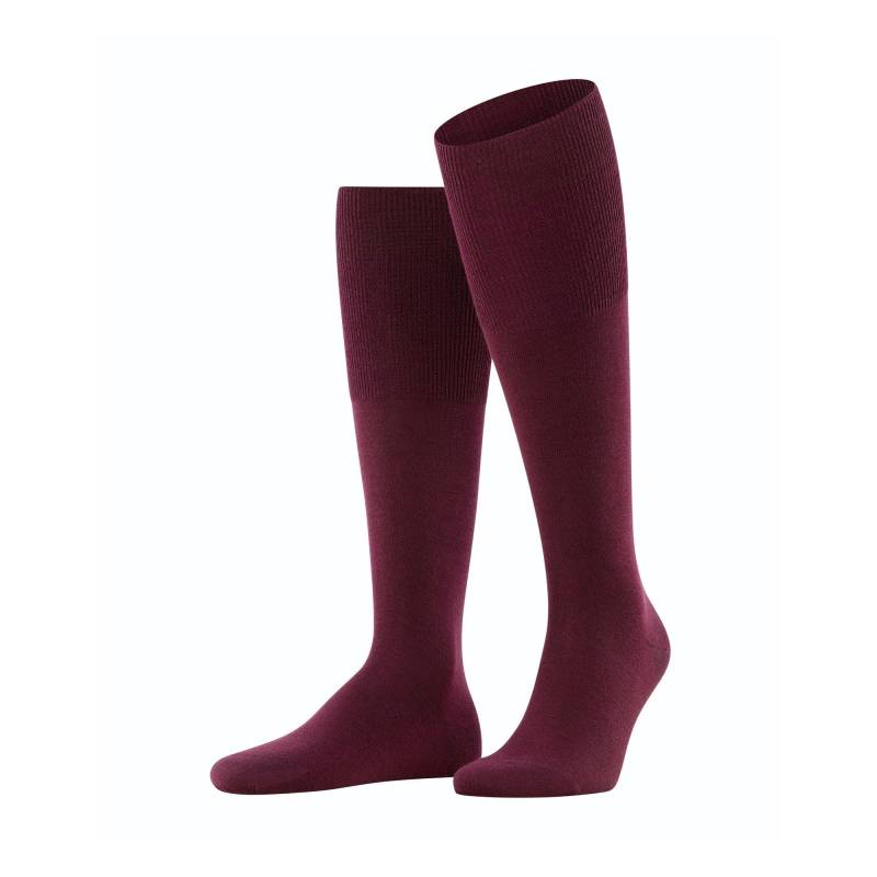 Falke - Knielange Socken, für Herren, Bordeaux, Größe 39-40 von Falke