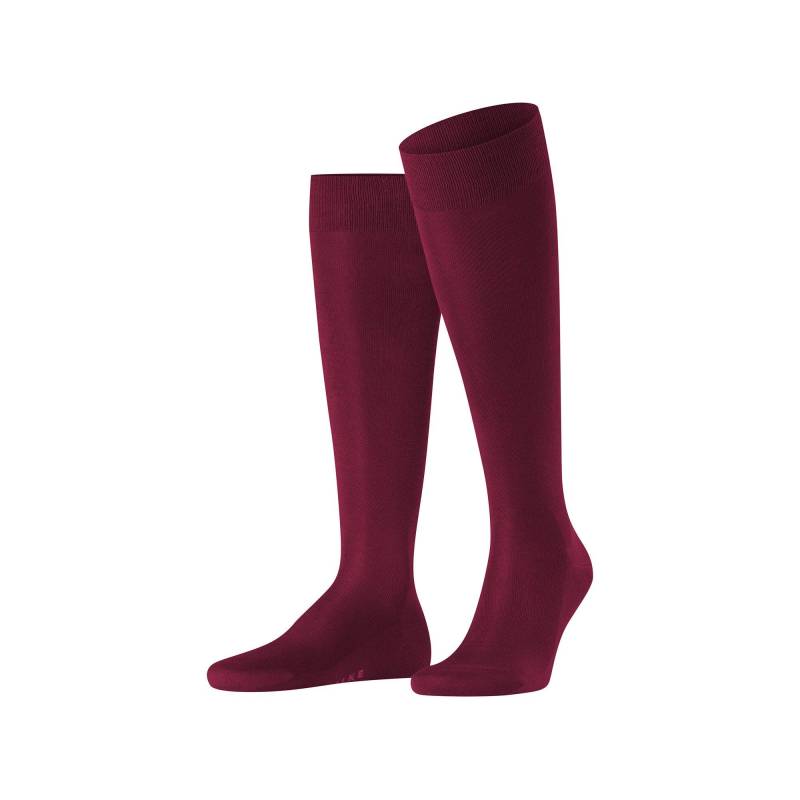 Kniestrümpfe Herren Bordeaux  45-46 von FALKE