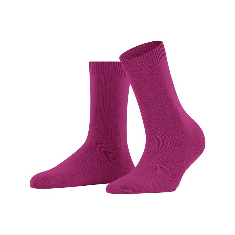 Socken Damen Bordeaux 39-42 von FALKE