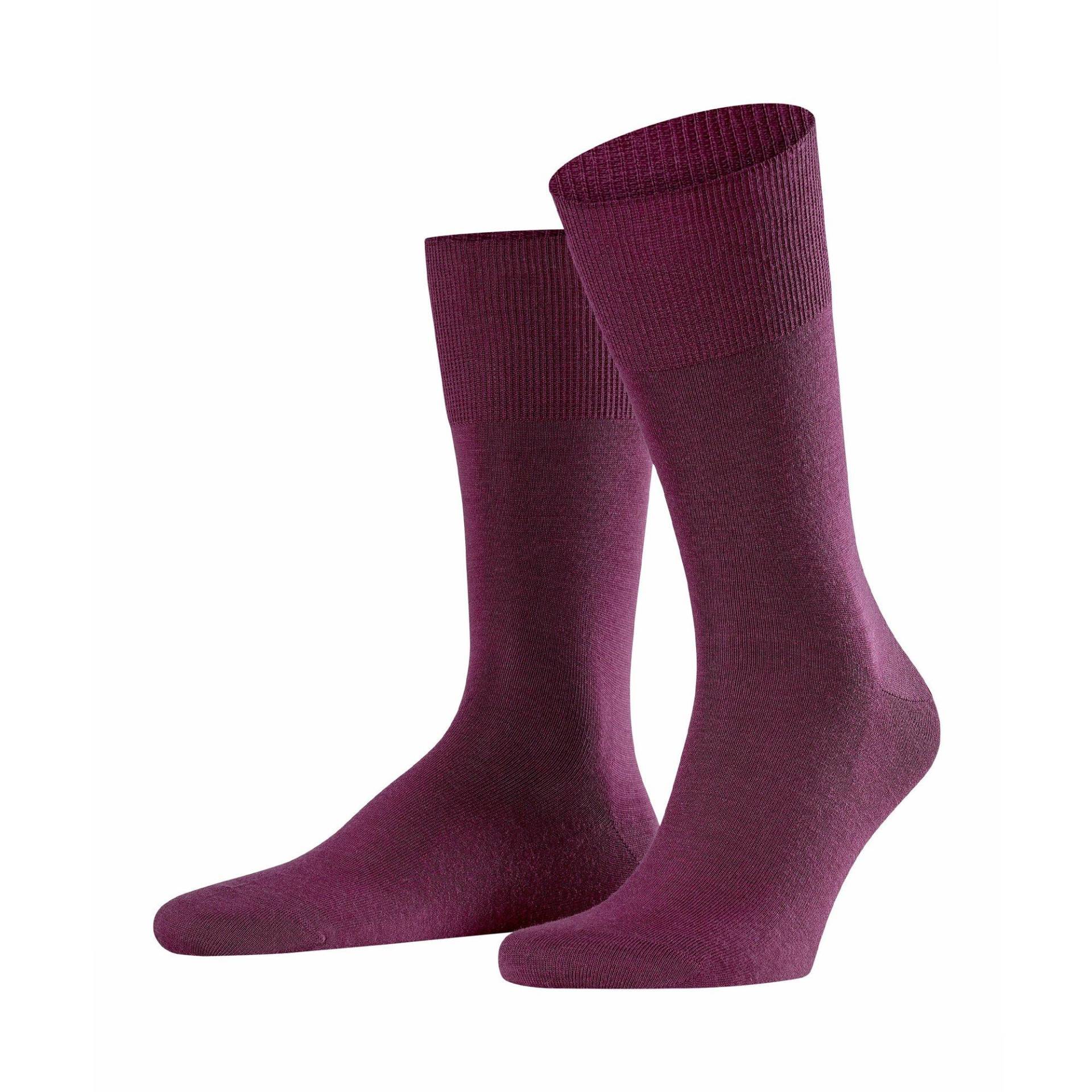 Socken Herren Aubergine 41-42 von FALKE