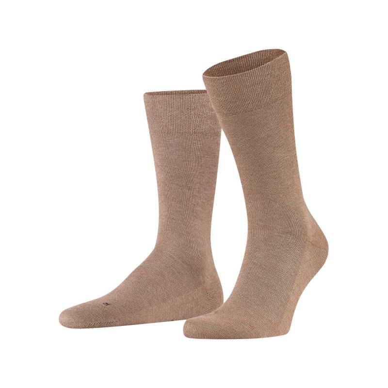 Socken Herren Beige 39-42 von FALKE