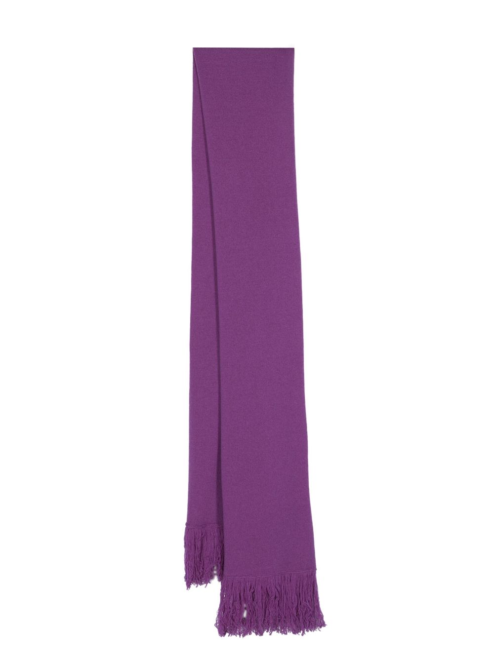 Fabiana Filippi frayed-hem cashmere scarf - Purple von Fabiana Filippi