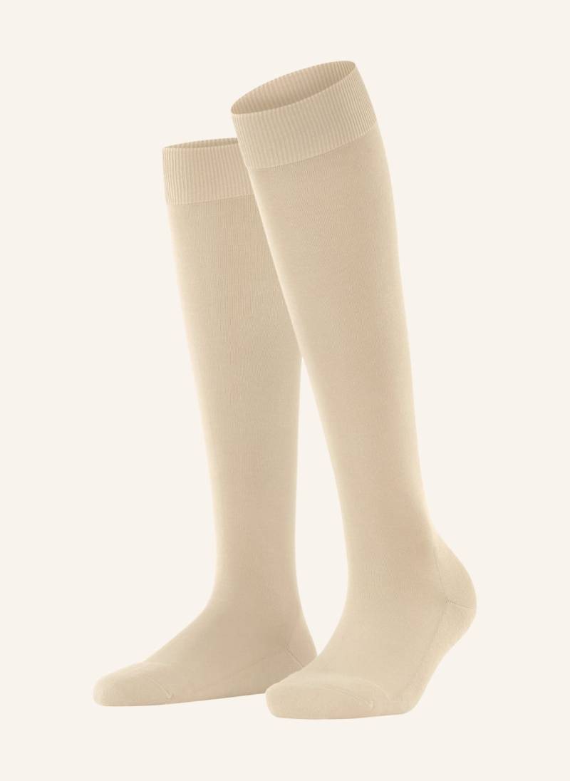 Falke Kniestrümpfe Climawool beige von Falke