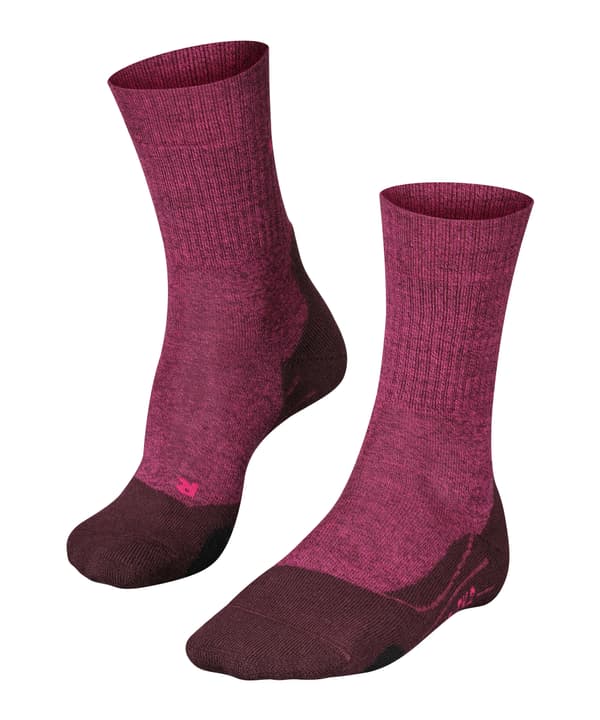 Falke TK2 Wool Ladies Socken bordeaux von Falke