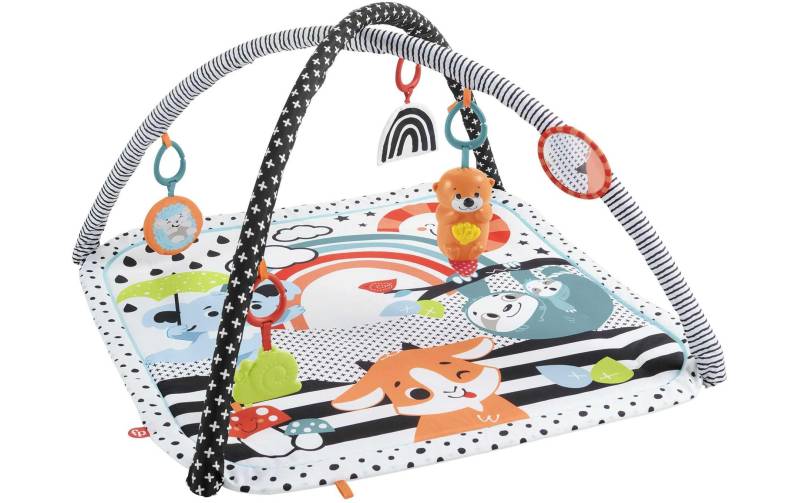 Fisher-Price® Spielbogen »Tierfreunde Spieldecke« von Fisher-Price®