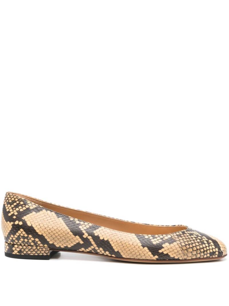 Francesco Russo python-print ballerina shoes - Neutrals von Francesco Russo