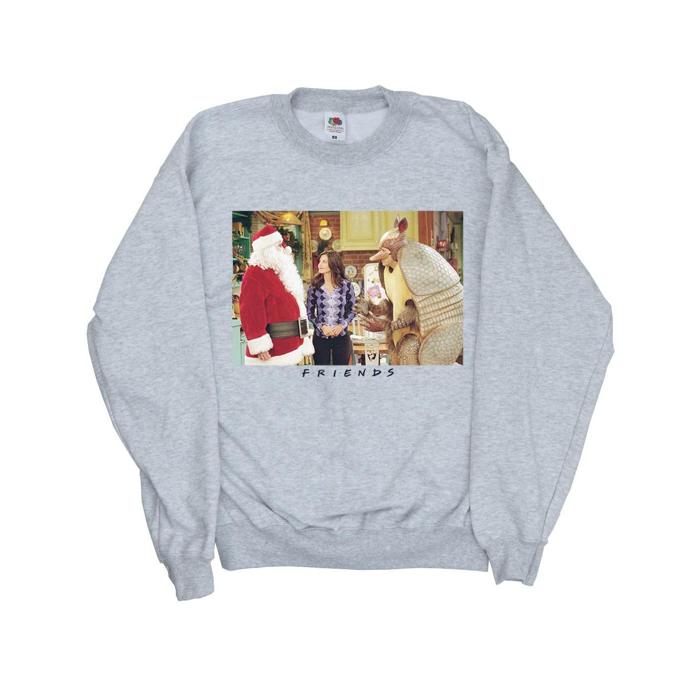 Christmas Armadillo Sweatshirt Herren Grau XL von Friends