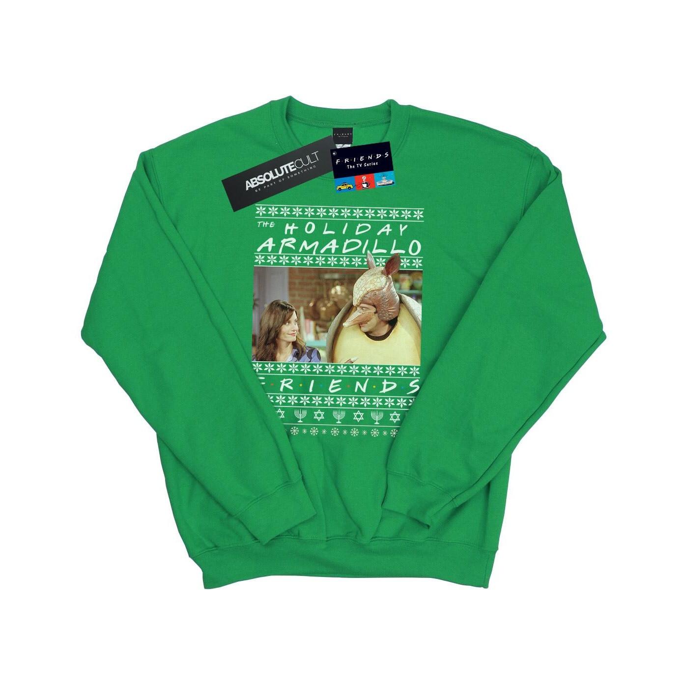 Friends - Holiday Armadillo Sweatshirt, für Herren, Grün, Größe XL von Friends