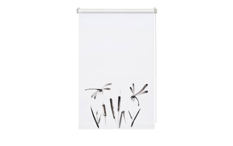 GARDINIA Rollo »Japandi Dragonfly 45 x 150 cm, Grau/Weiss« von GARDINIA