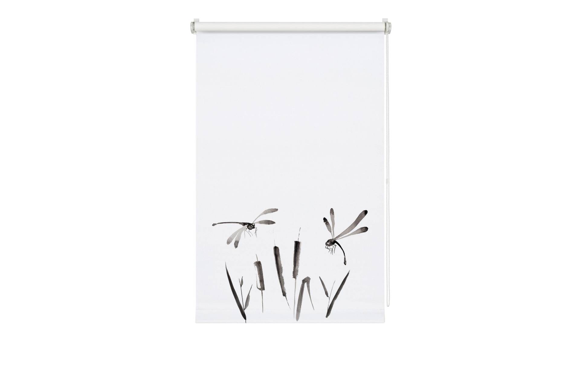 GARDINIA Rollo »Japandi Dragonfly 75 x 150 cm, Grau/Weiss« GARDINIA Rollo »Japandi Dragonfly 75 x 150 cm, Grau/Weiss« von GARDINIA