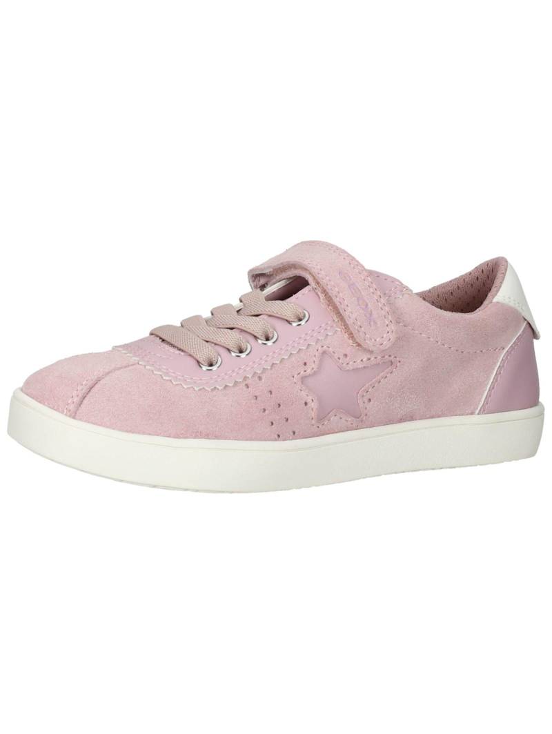 Sneaker Unisex Rosa 33 von GEOX