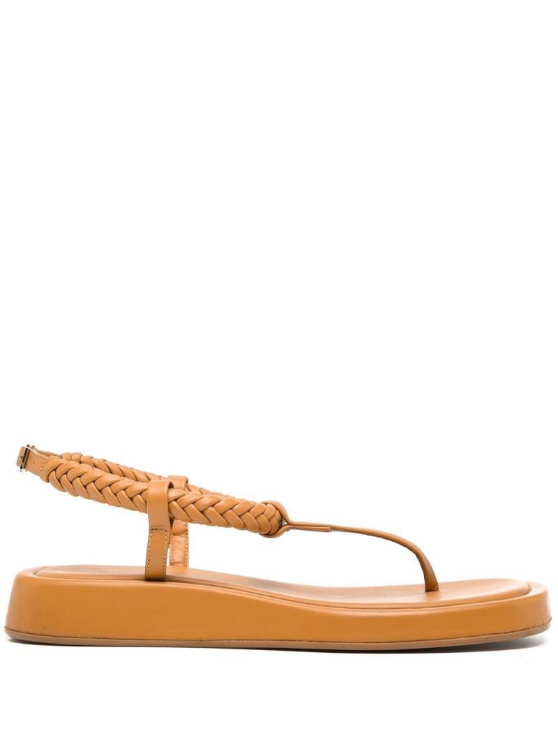 GIABORGHINI x Rosie Huntington-Whiteley 3 flat thong sandals - Brown von GIABORGHINI