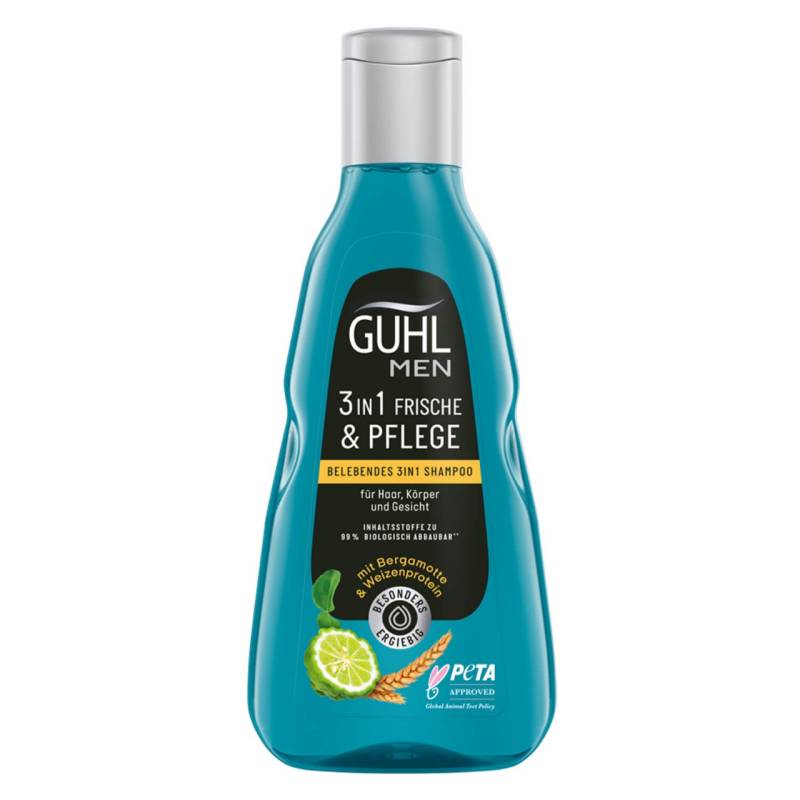 GUHL - MEN FRISCHE & PFLEGE Belebendes 3in1 Shampoo von GUHL