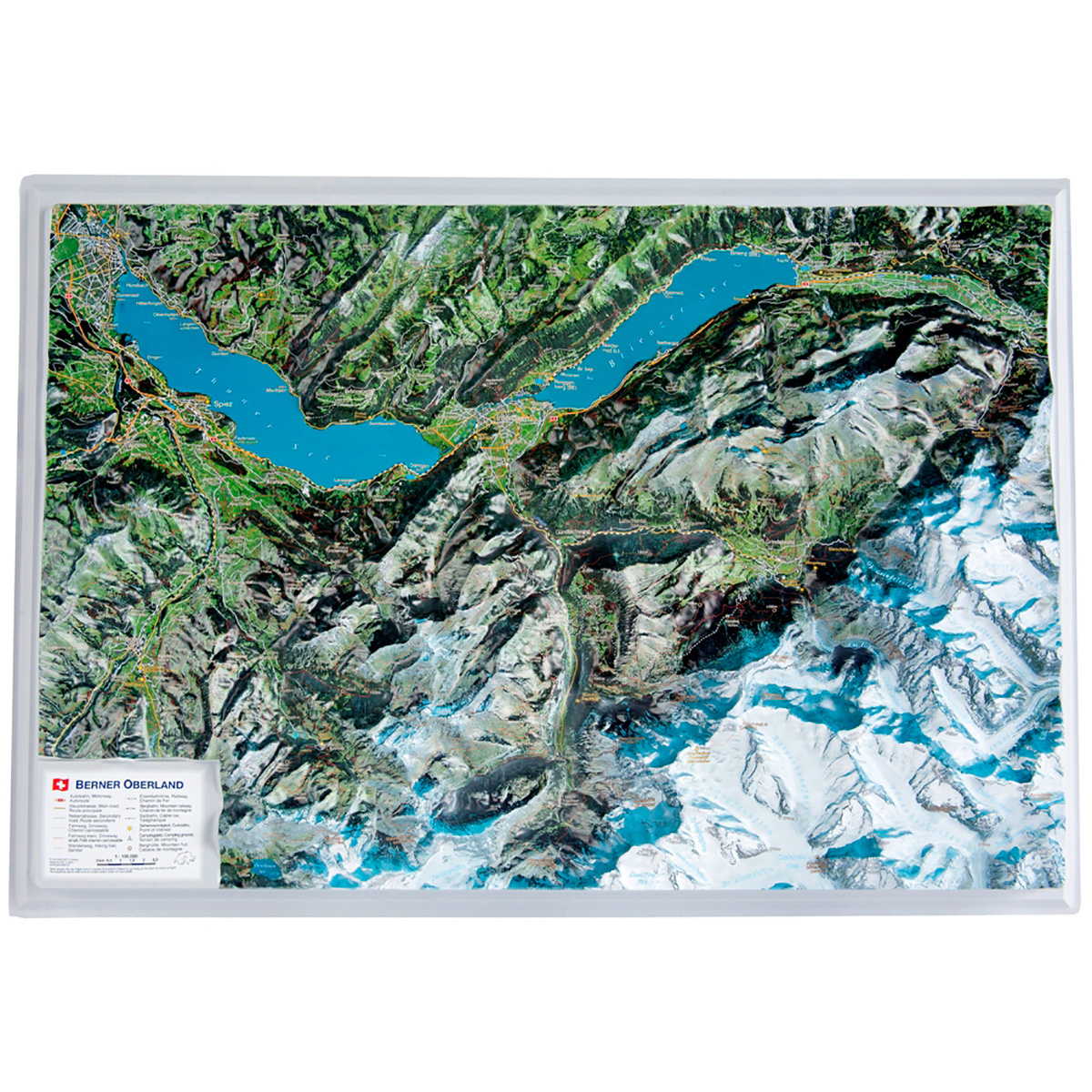 Georelief 3D Reliefkarte Berner Oberland von Georelief