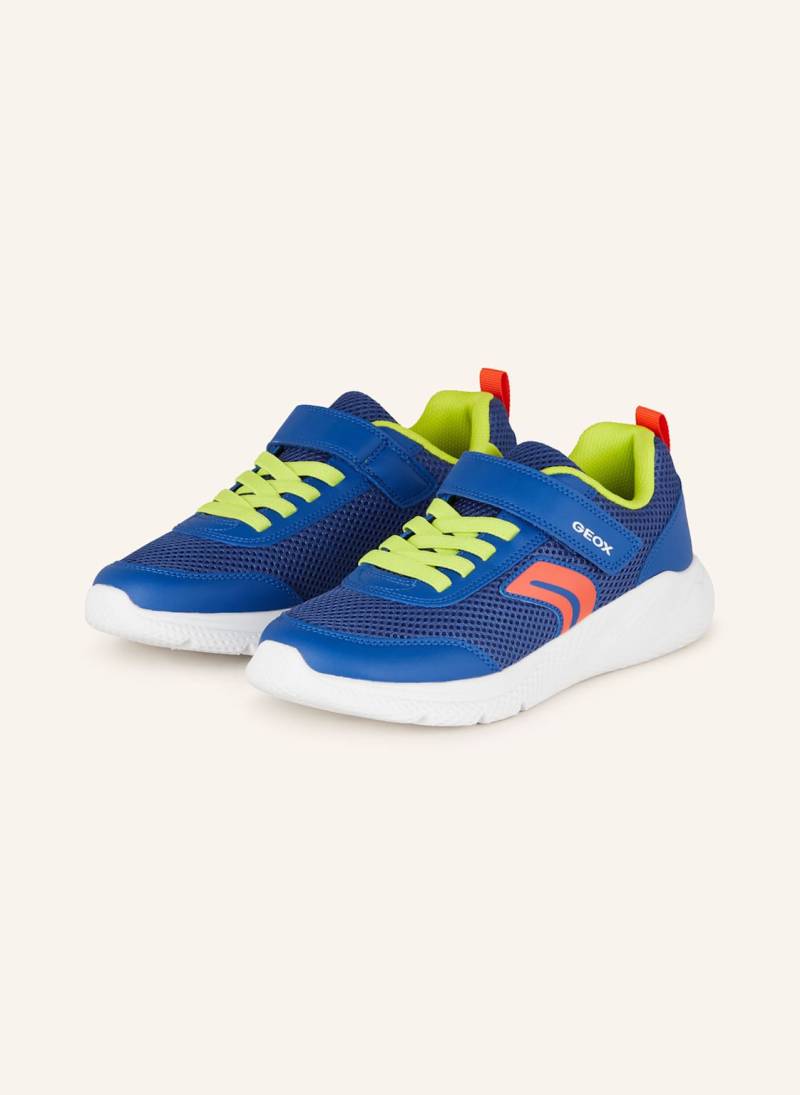 Geox Sneaker Sprintye blau von Geox