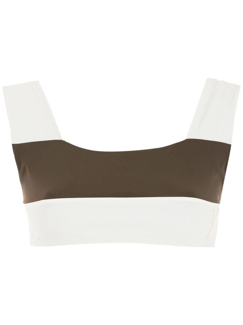 Gloria Coelho Geometrico bikini top - Brown von Gloria Coelho