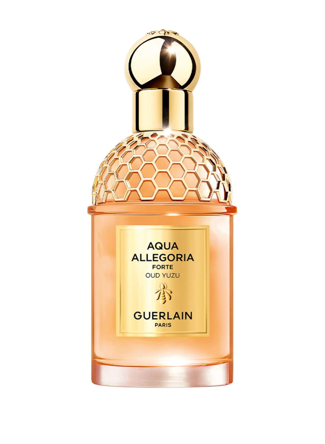 Guerlain Aqua Allegoria Forte Oud Yuzu Eau de Parfum 75 ml von Guerlain