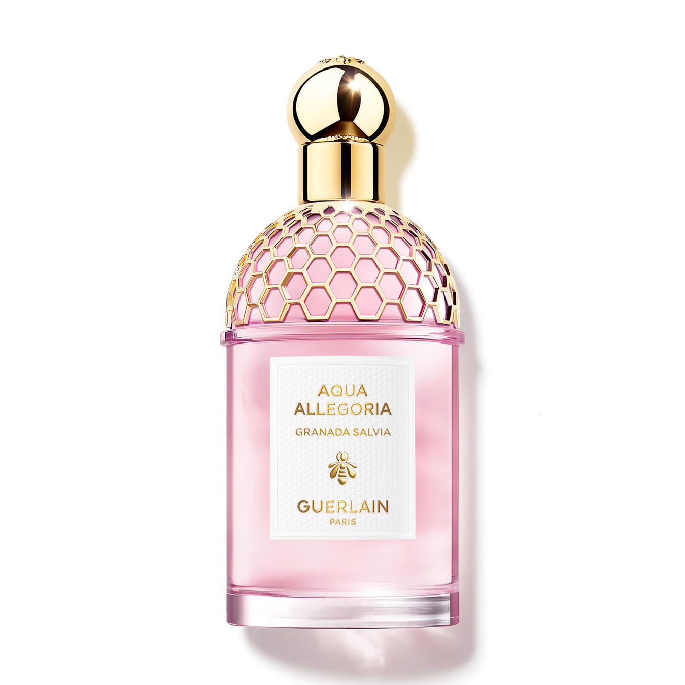 Guerlain Aqua Allegoria Granada Salvia Eau de Toilette 125ml Damen Guerlain Aqua Allegoria Granada Salvia Eau de Toilette 125ml Damen von Guerlain