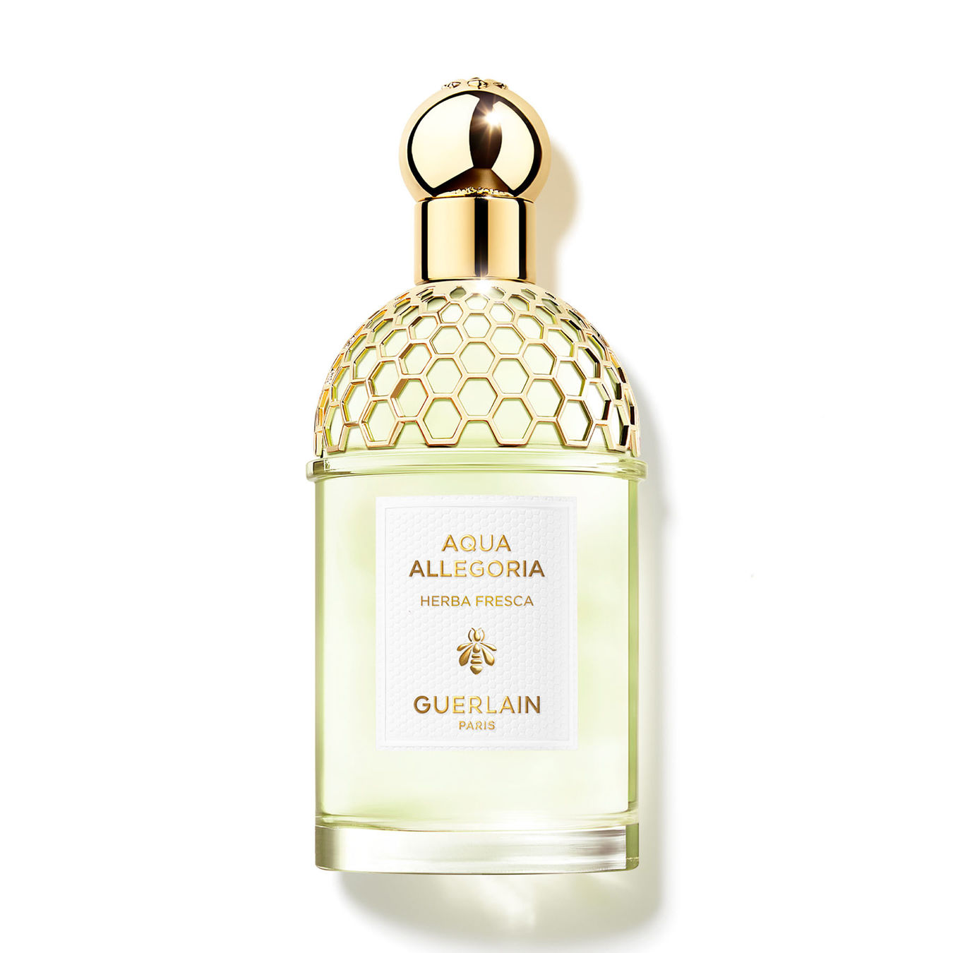 Guerlain Aqua Allegoria Herba Fresca Eau de Toilette 125ml Damen von Guerlain