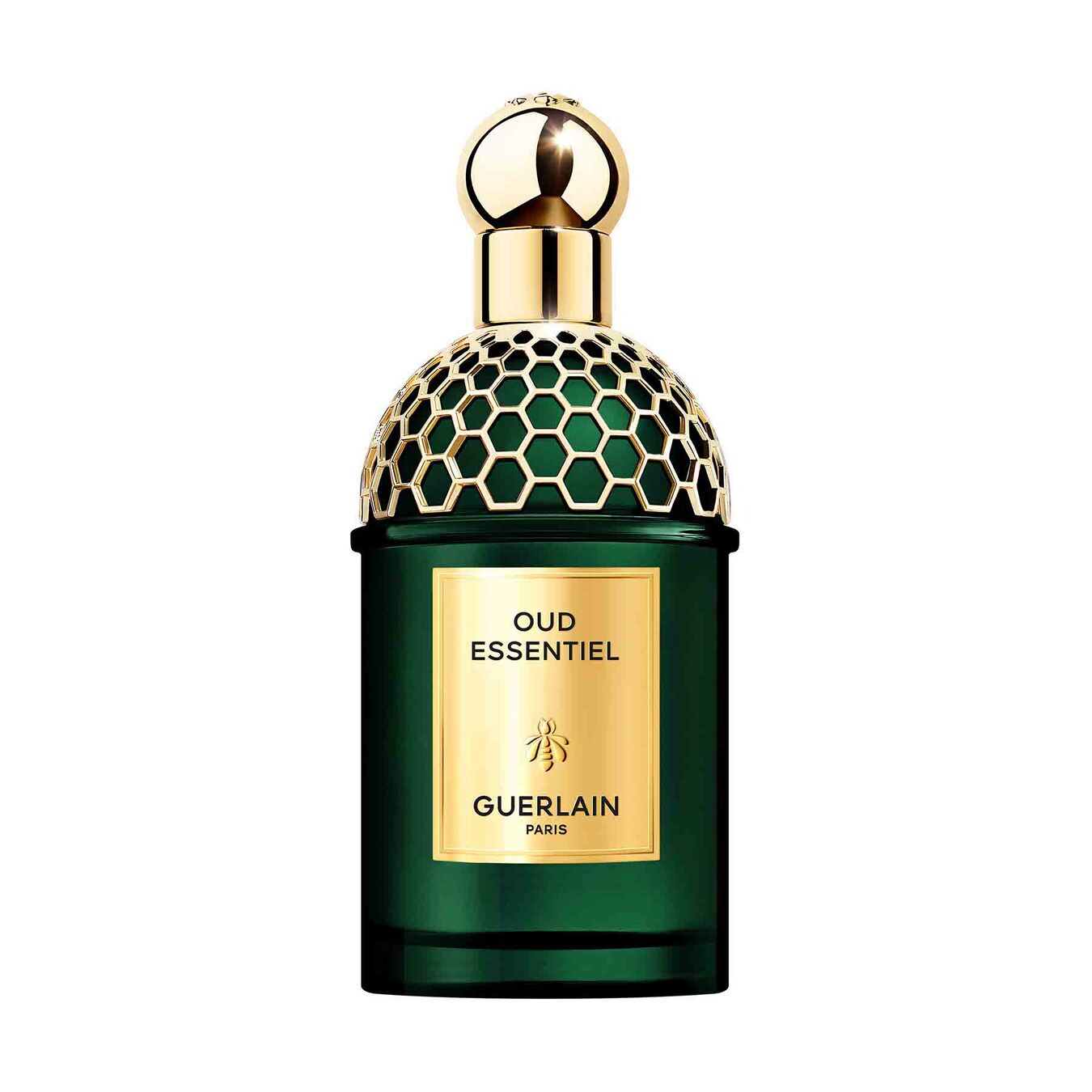 Guerlain Aqua Allegoria Oud Essentiel Eau de Parfum 125ml Damen Guerlain Aqua Allegoria Oud Essentiel Eau de Parfum 125ml Damen von Guerlain