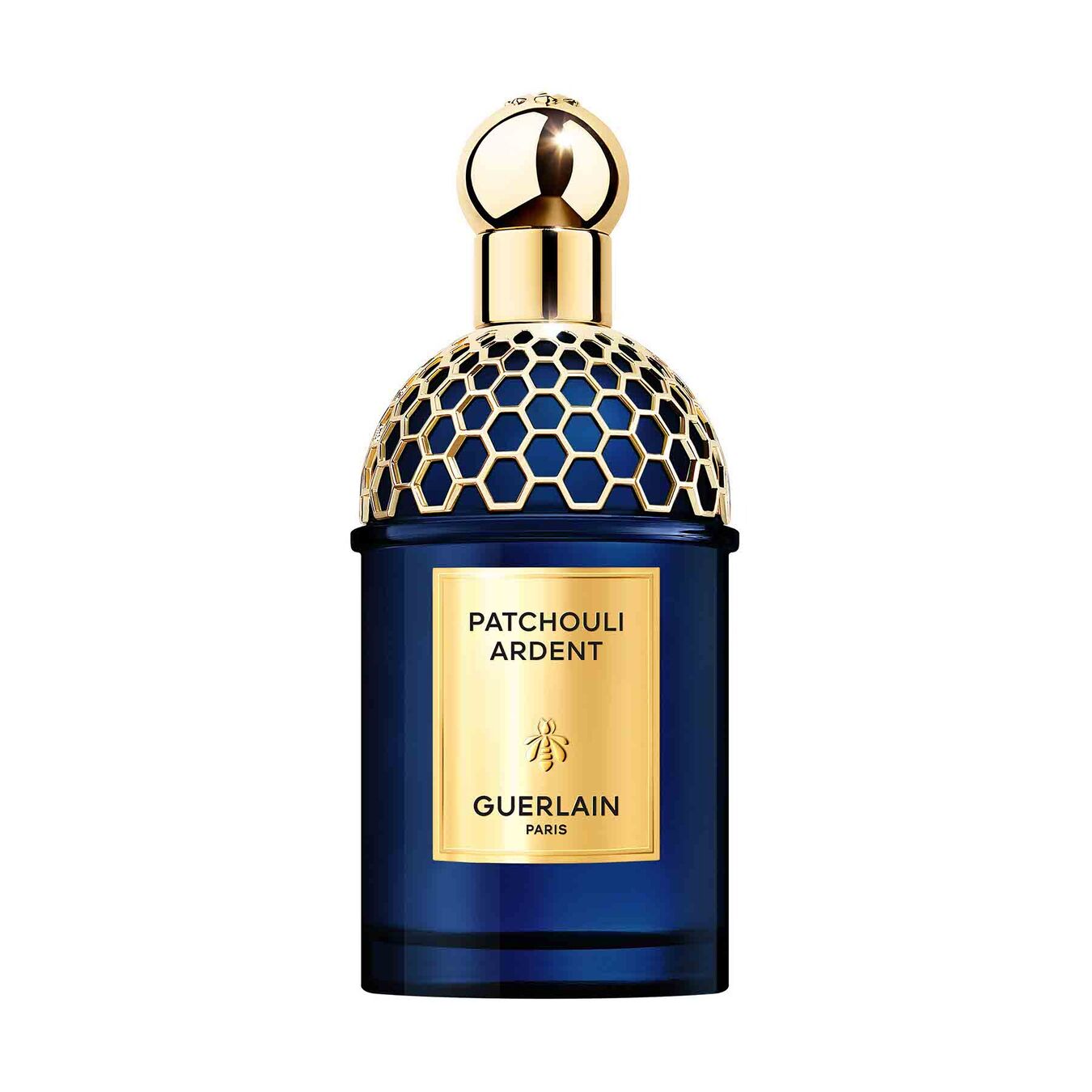 Guerlain Aqua Allegoria Patchouli Ardent Eau de Parfum 125ml Damen Guerlain Aqua Allegoria Patchouli Ardent Eau de Parfum 125ml Damen von Guerlain
