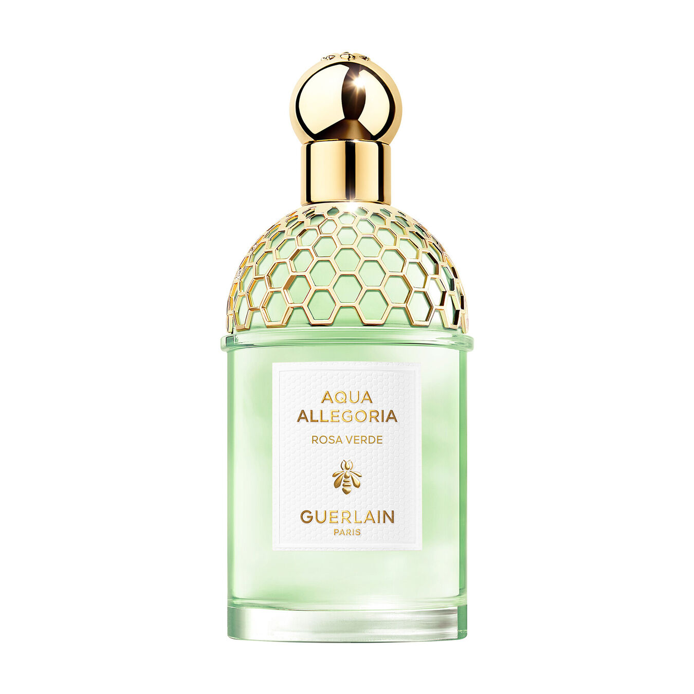 Guerlain Aqua Allegoria Rosa Verde Eau de Toilette 125ml Herren von Guerlain