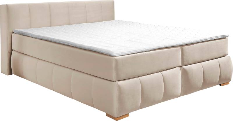 Guido Maria Kretschmer Home&Living Boxspringbett »Chelles«, inkl. Topper, in XXL- Überlänge 220 cm, Unterbox mit feine Wölbung von Guido Maria Kretschmer Home&Living