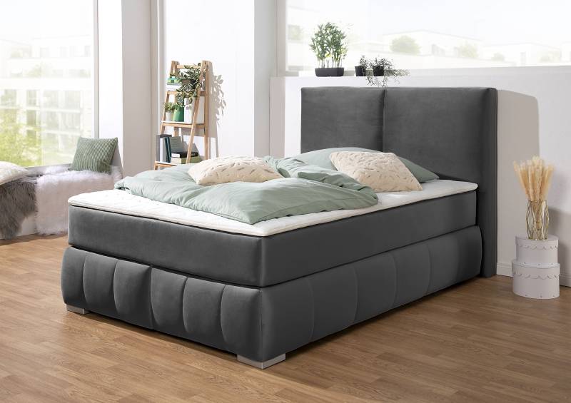 Guido Maria Kretschmer Home&Living Boxspringbett »Wehma«, inkl. Topper in 3 verschiedenen Matratzen, auch in Samtstoff von Guido Maria Kretschmer Home&Living