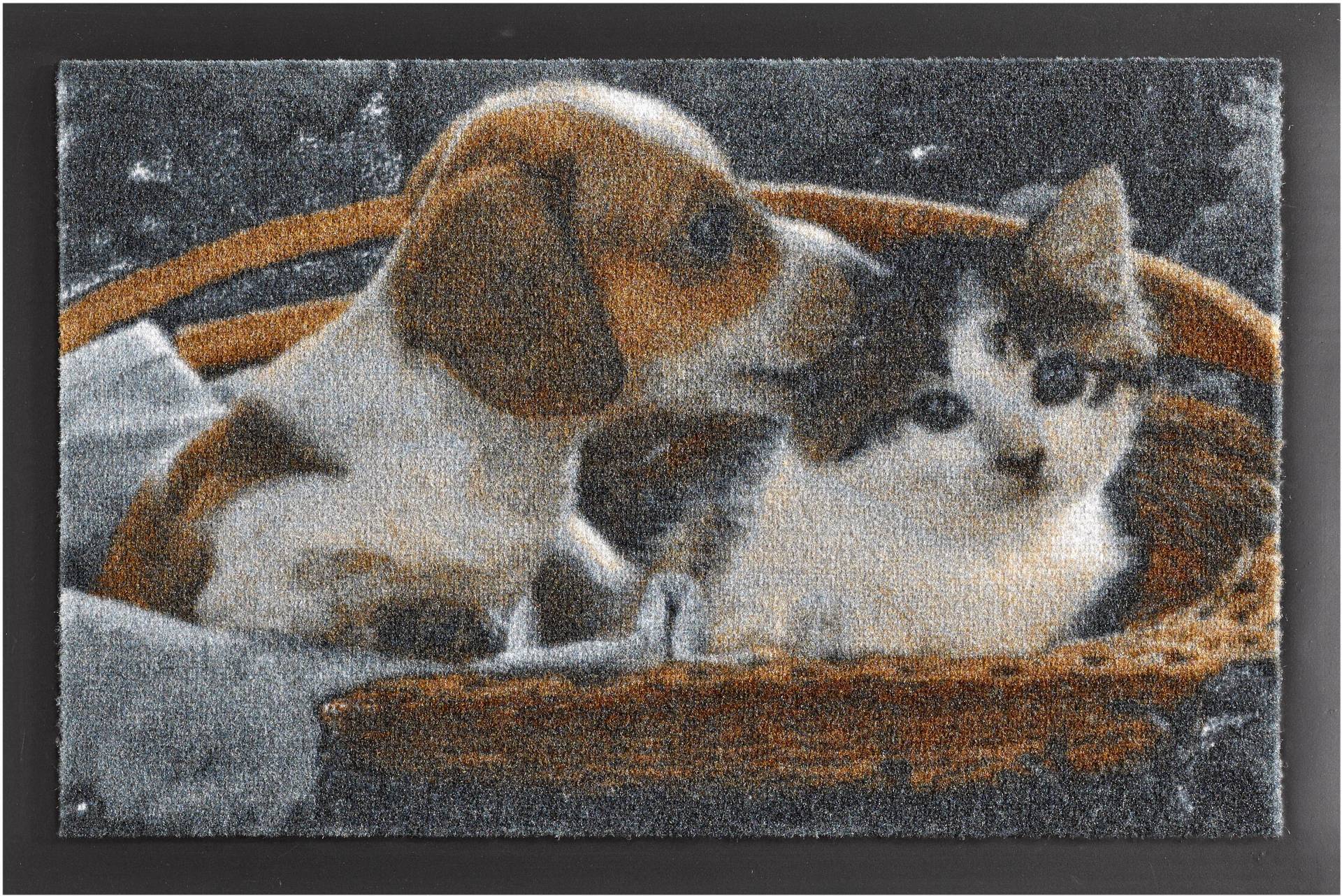 HANSE Home Fussmatte »Animals 2«, rechteckig, 7 mm Höhe, Rutschhemmend, Tiermotiv, waschbar, Robust, Eingang, Hund und Katze HANSE Home Fussmatte »Animals 2«, rechteckig, 7 mm Höhe, Rutschhemmend, Tiermotiv, waschbar, Robust, Eingang, Hund und Katze von HANSE Home