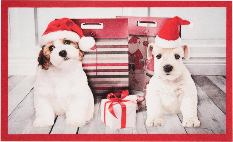 HANSE Home Fussmatte »Christmas Dogs«, rechteckig, 7 mm Höhe, Tier Motiv, Pflegeleicht, Rutschfest, Weihnachten, Waschbar von HANSE Home