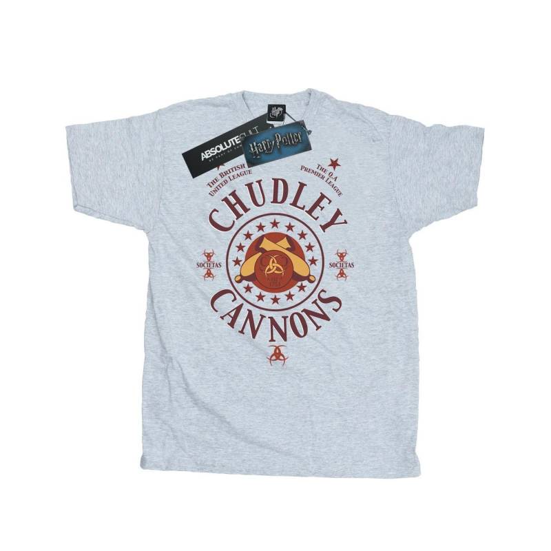 Chudley Cannons Logo Tshirt Herren Grau 3XL von Harry Potter