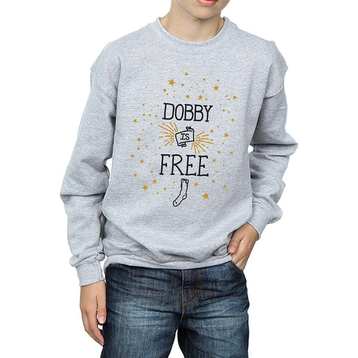 Harry Potter - Dobby Is Free Sweatshirt, 128, Grau von Harry Potter