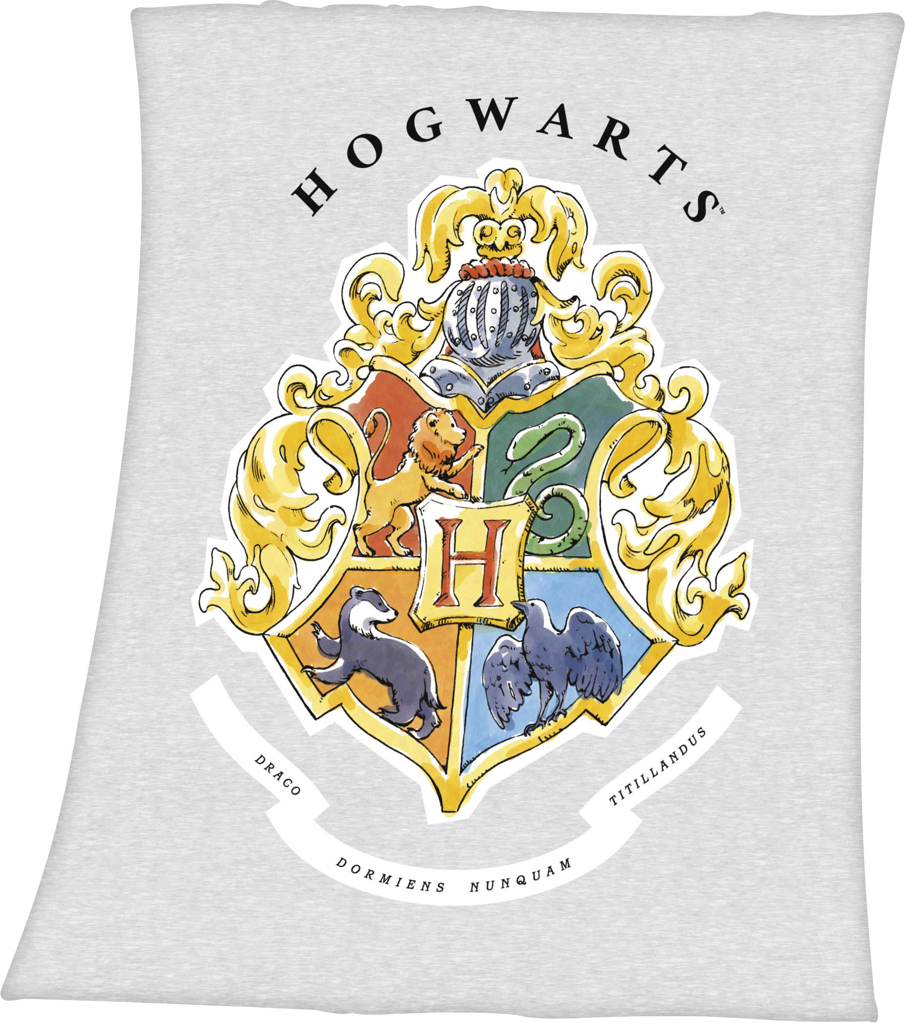 Harry Potter Wohndecke »Harry Potter«, mit tollem Hogwarts Motiv, Kuscheldecke Harry Potter Wohndecke »Harry Potter«, mit tollem Hogwarts Motiv, Kuscheldecke von Harry Potter
