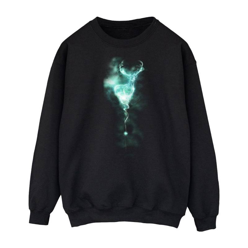 Patronus Mist Sweatshirt Herren Schwarz L von Harry Potter