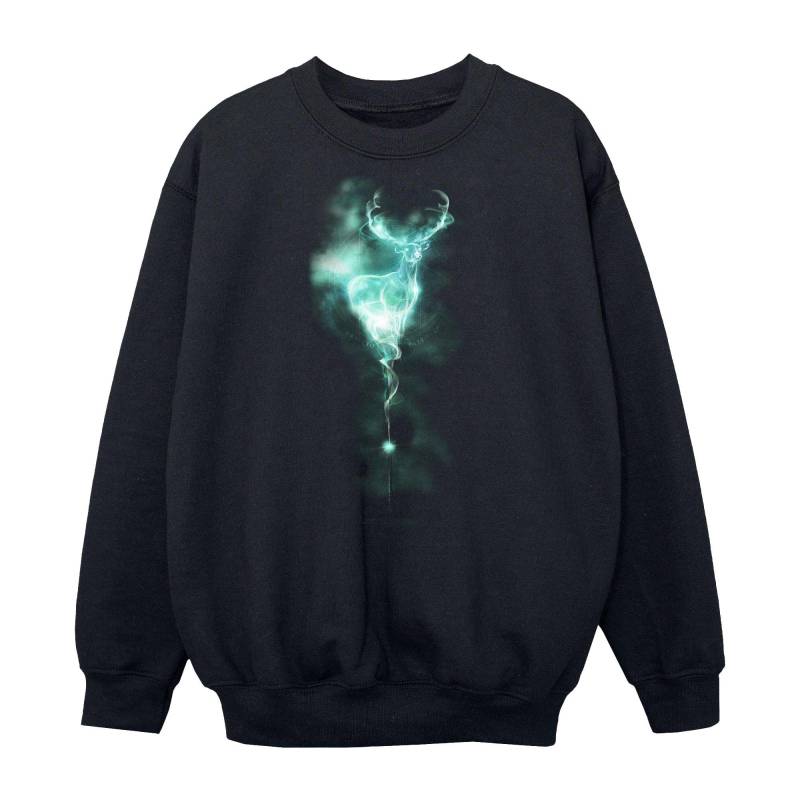 Patronus Mist Sweatshirt Unisex Schwarz 116 von Harry Potter