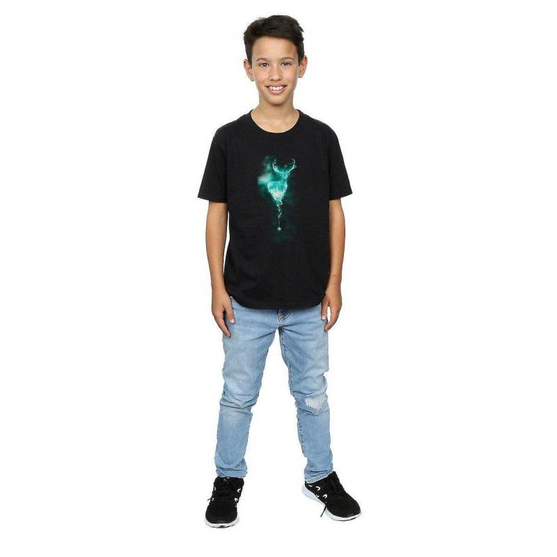 Patronus Tshirt Jungen Schwarz 152-158 von Harry Potter