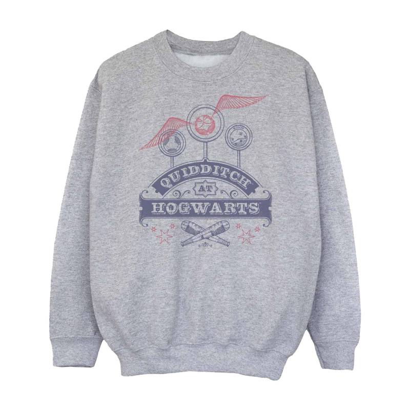 Quidditch At Hogwarts Sweatshirt Mädchen Grau 116 von Harry Potter