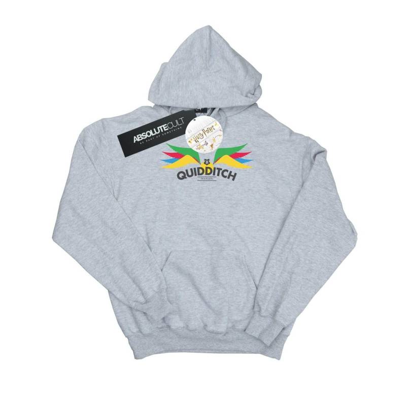 Snitch Wings Pastels Kapuzenpullover Damen Grau L von Harry Potter