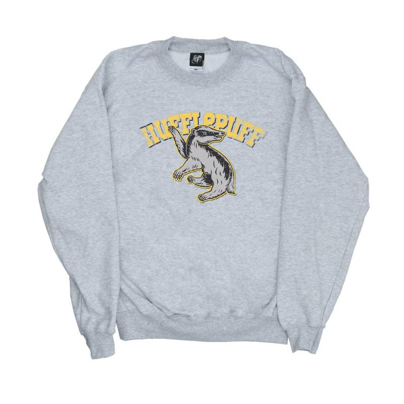 Sweatshirt Herren Grau S von Harry Potter