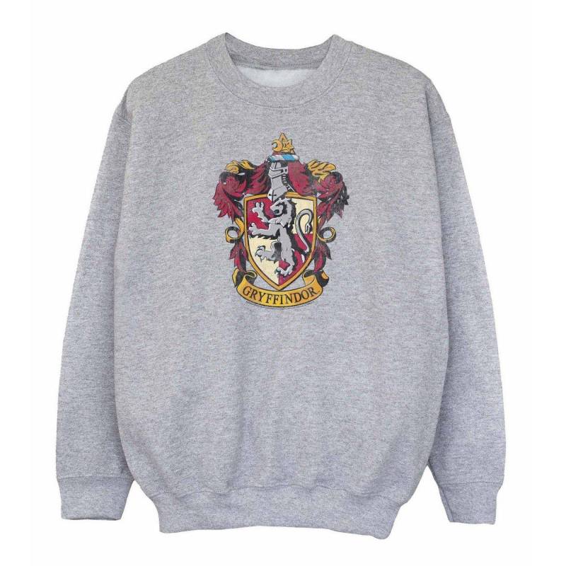 Sweatshirt Mädchen Grau 116 von Harry Potter