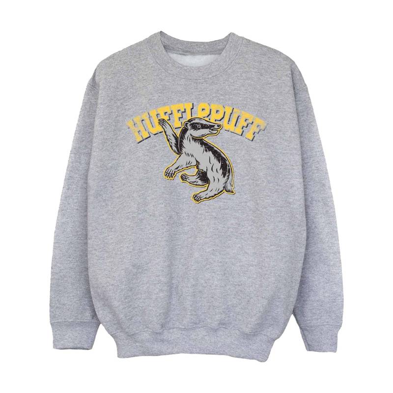 Sweatshirt Mädchen Grau 116 von Harry Potter